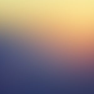 test 1 image1