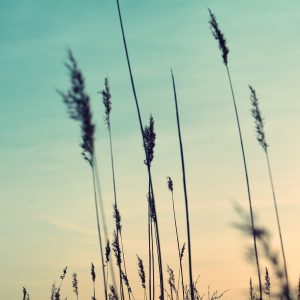 test1 image3